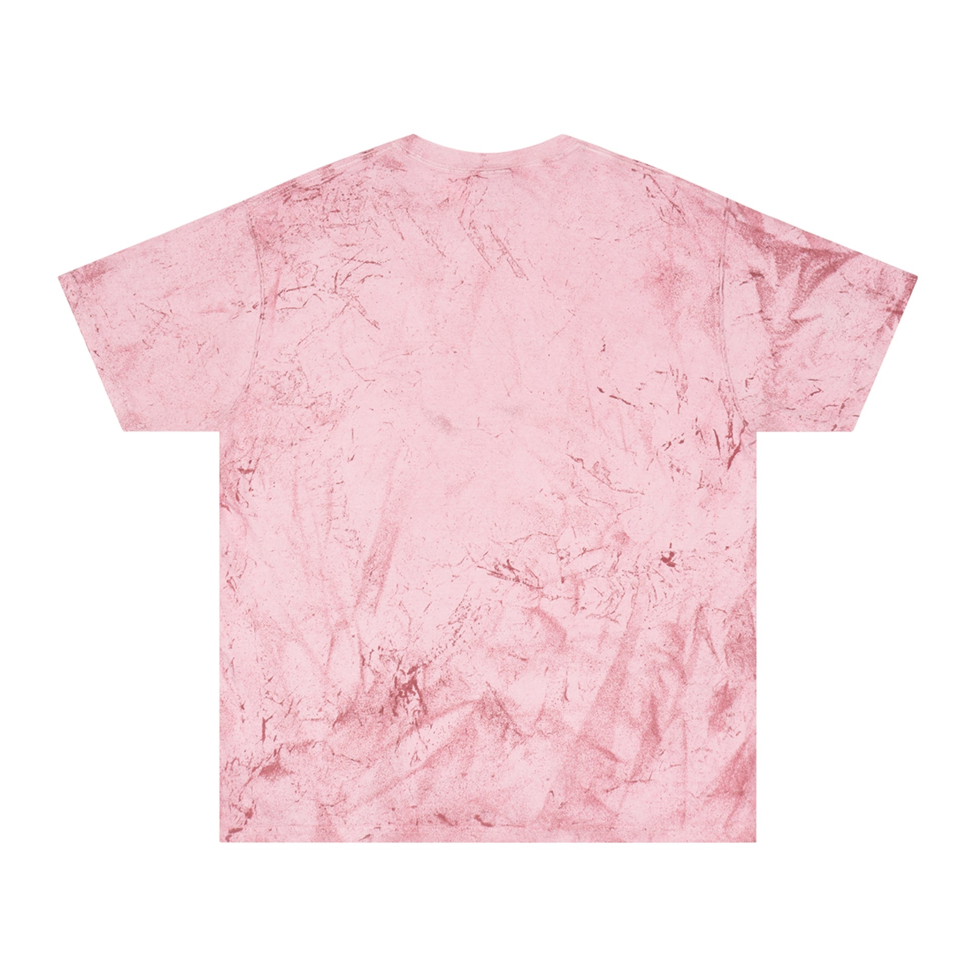Back of the color blast t shirt in clay.
