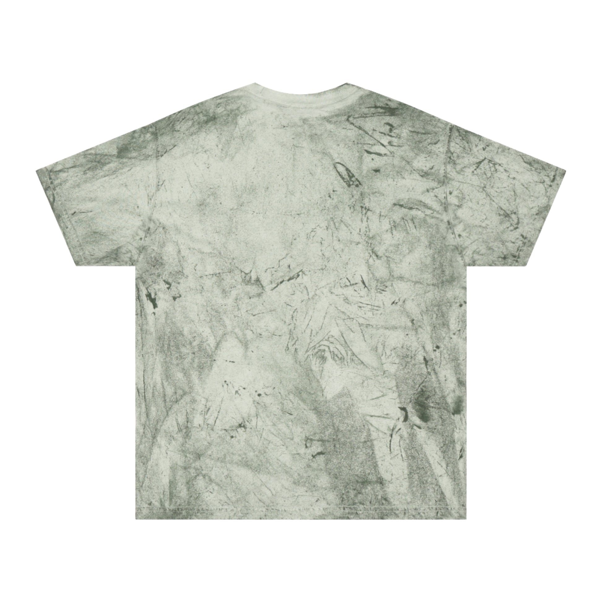 Back of the color blast t shirt in fern.